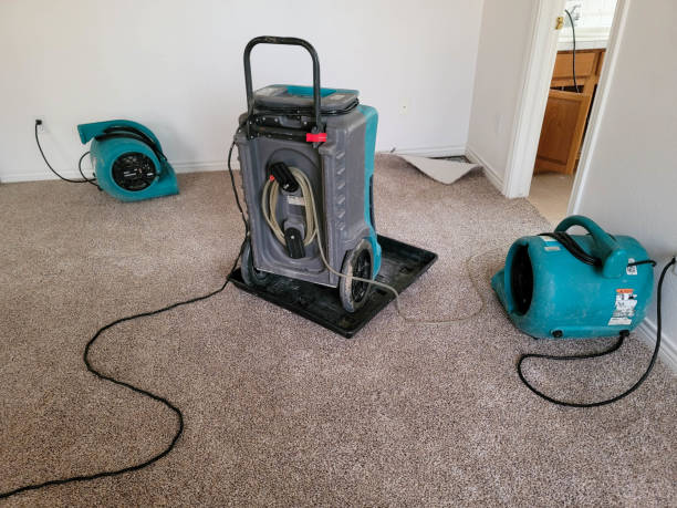 Best Ceiling water damage repair  in Rutherford College, NC