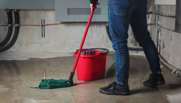 Best Local water damage restoration  in Rutherford College, NC